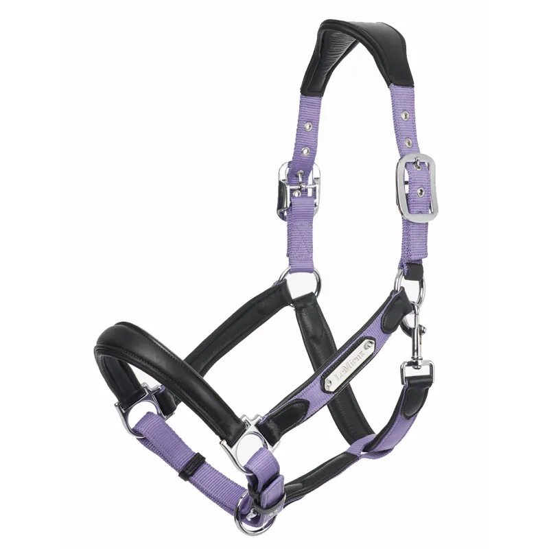 LeMieux Capella Headcollar - Iris